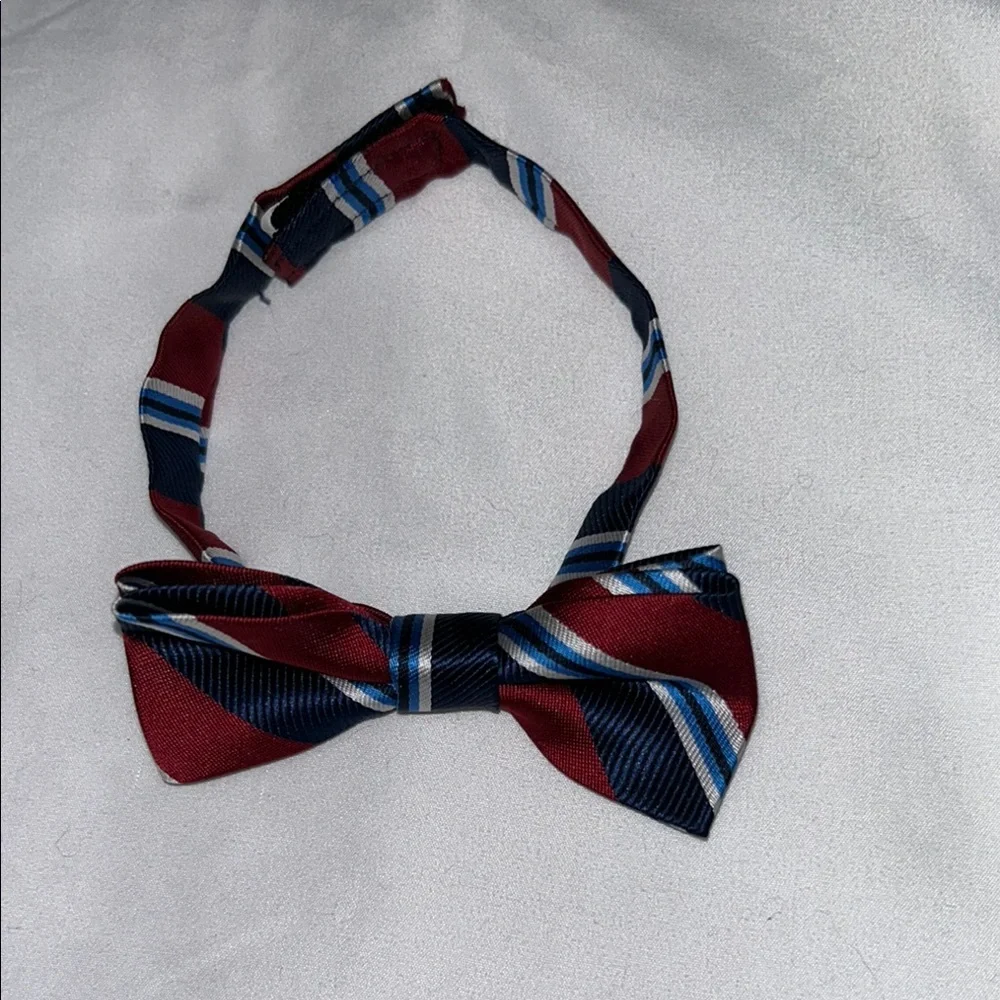 Elegant Striped Bow Tie - Burgundy and Navy